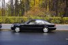 DSC01615.jpg