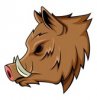 31712065-wild-boar.jpg
