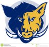 angry-razorback-wild-pig-hog-boar-head-21884504.jpg