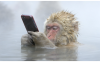 Untitled_1_30777042459195631.png